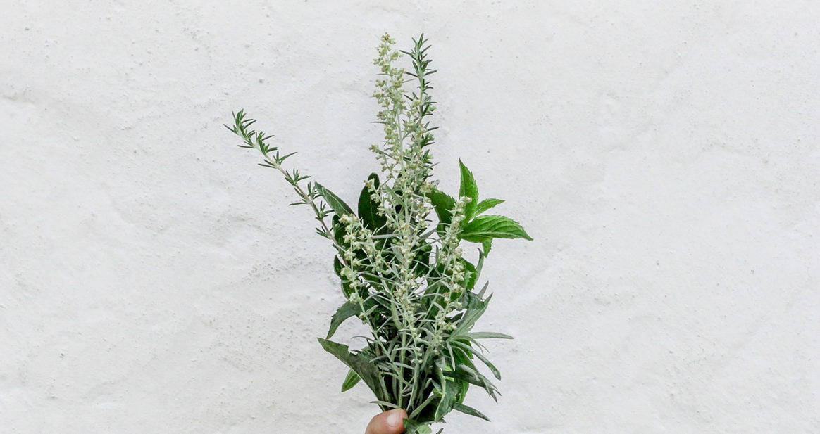 Hand holding a bunch of fresh herbs against white wall